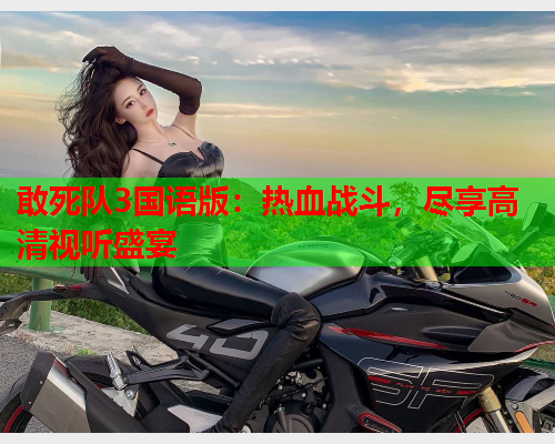 敢死队3国语版：热血战斗，尽享高清视听盛宴  第1张